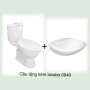 BÀN CẦU 2 KHỐI AMERICAN STANDAND VF-2013 KÈM LAV VF-0940