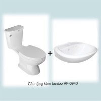 BÀN CẦU 2 KHỐI AMERICAN STANDAND VF-2398 + LAVABO TREO VF0940