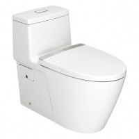 BÀN CẦU 1 KHỐI AMERICAN STANDAND 2007-WT