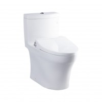 BÀN CẦU 1 KHỐI TOTO MS889DRE2